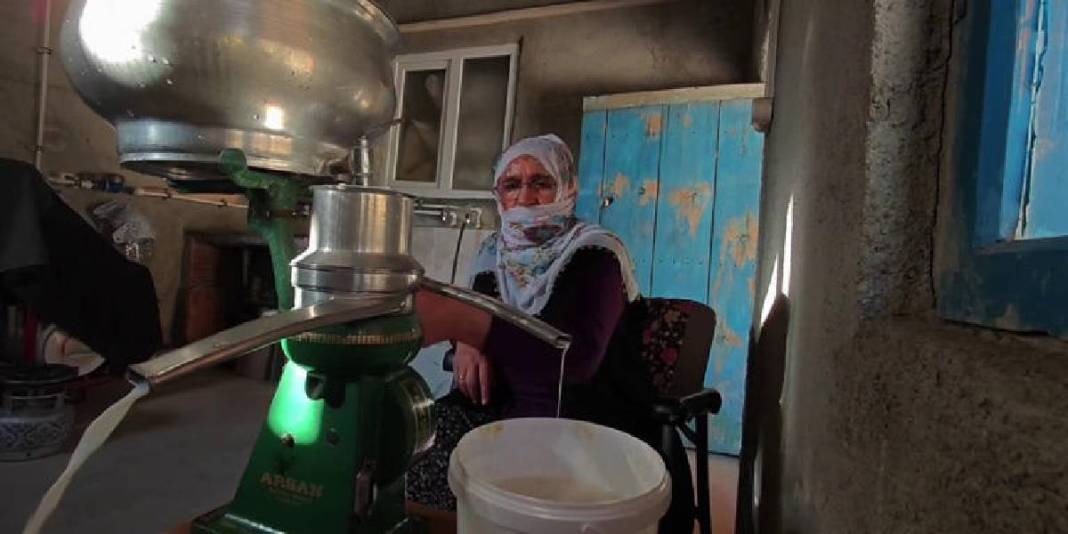 Sadece Türkiye’de değil dünya mutfağında da söz sahibi! Geleneksel lezzet: Peynir deyip geçmek büyük hata 5